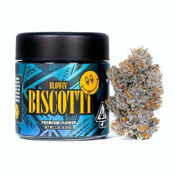 Biscotti - Indoor