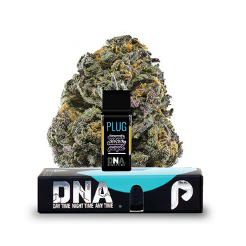 VAPE - 1g PLUG™ DNA: Sugar Daddy Purple
